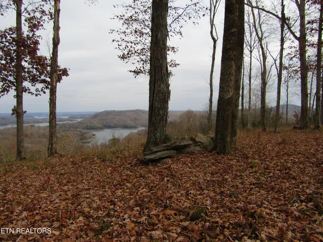 $174,900 | Lot 27 East C E Rockfish Road, Celina, TN 38551