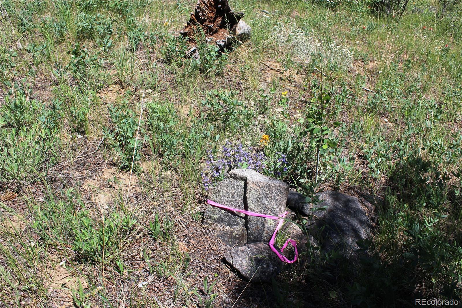 1595 Missouri Gulch Road Black Hawk, CO 80422 - Photo 34 of 49