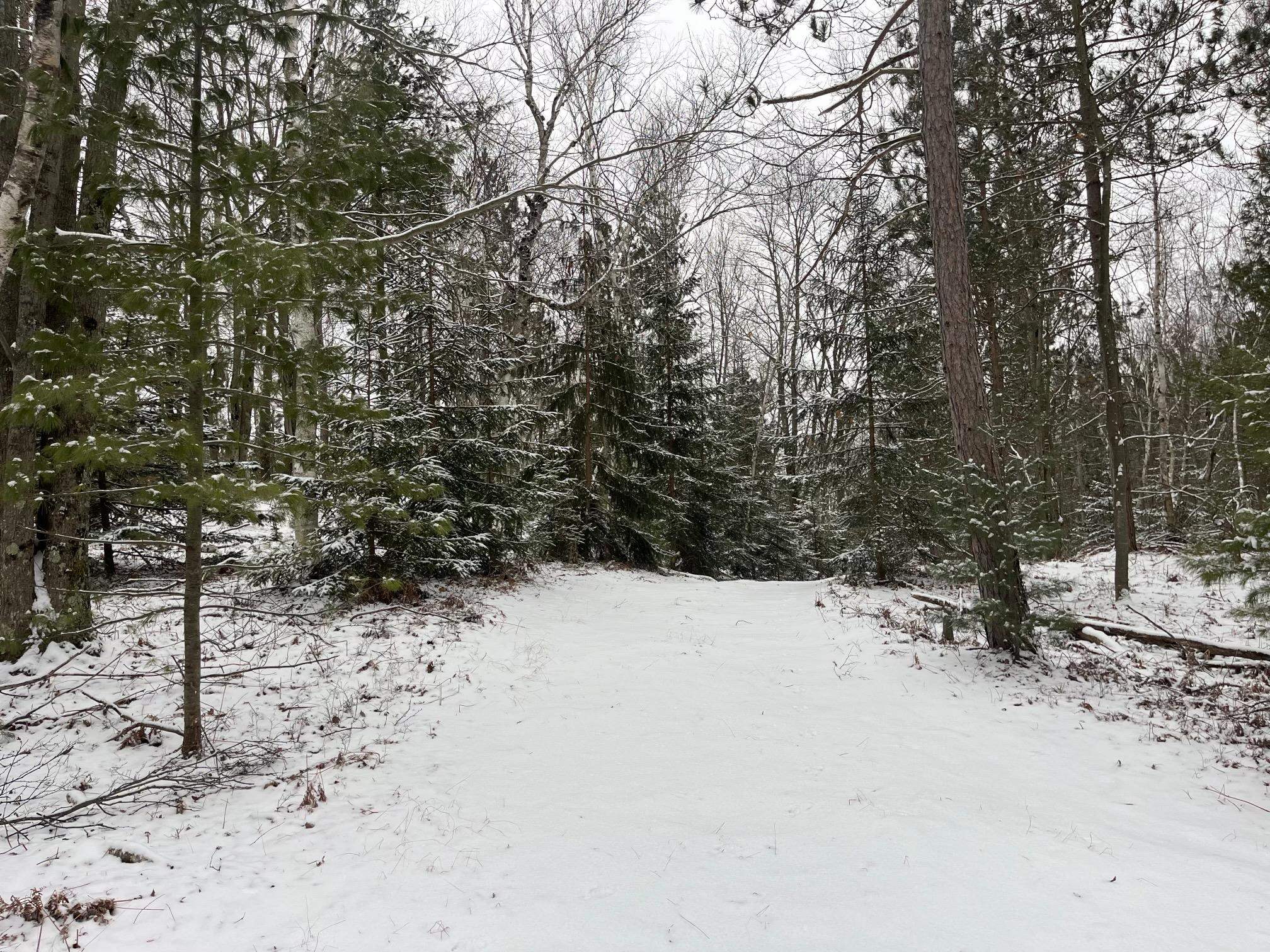 5311 Lakeshore Road Manistee, MI 49660 - Photo 6 of 37 1908574-5.JPG