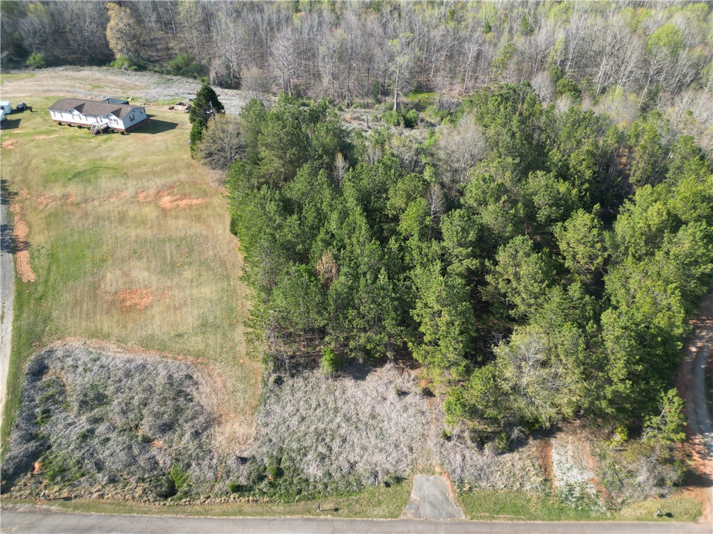 329 Mcfalls Circle Anderson, SC 29621 - Photo 3 of 20