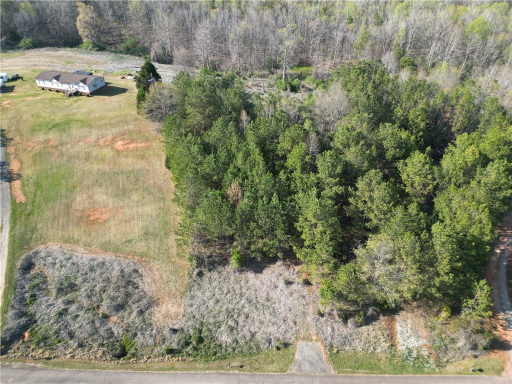 329 Mcfalls Circle Anderson, SC 29621 - Photo 3 of 20