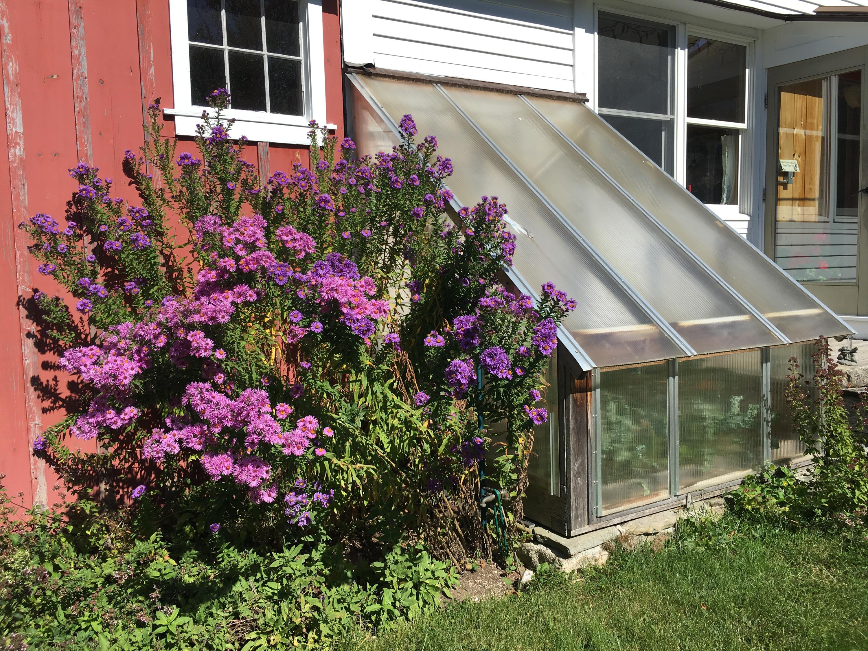 325 Turkey Cove Road St. George, ME 04860 - Photo 21 of 26 IMG_3518-preview
