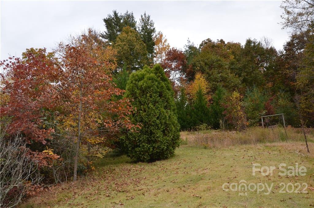 415 Russell Cove Road Waynesville, NC 28785 - Photo 19 of 22 Gallery Image 19