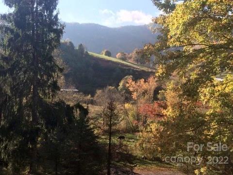 415 Russell Cove Road Waynesville, NC 28785 - Photo 20 of 22 Gallery Image 20