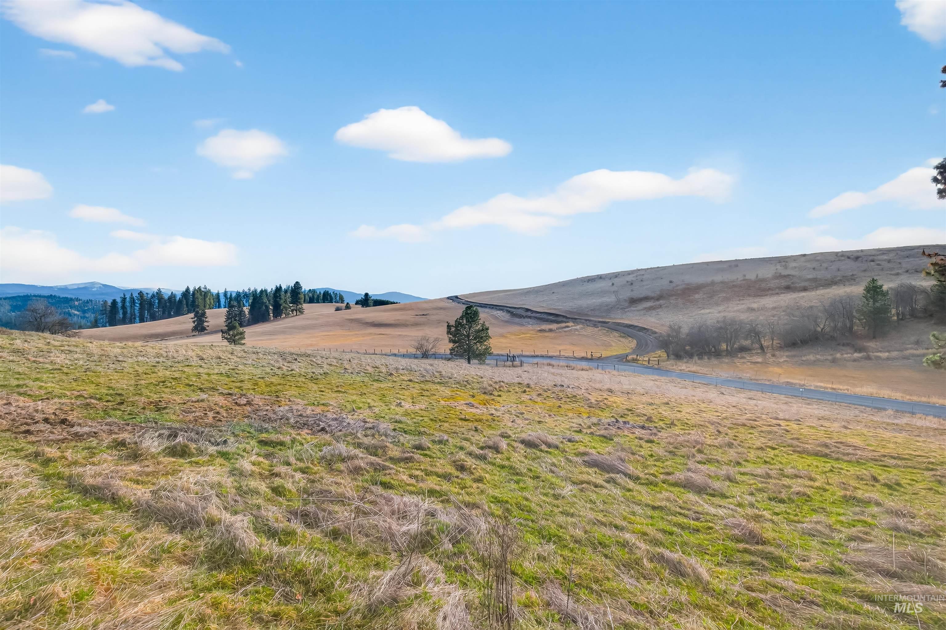 108 Tweedy Lane Kooskia, ID 83539 - Photo 15 of 48 View of yard featuring a mountain view and a rural view