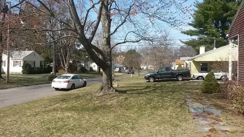 65 Timber Lane Springfield, MA 01119 - Photo 4 of 28 a view of a yard with car parked