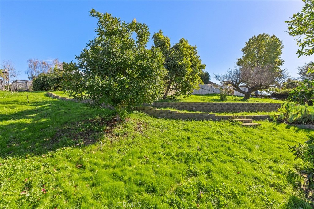 1765 Armadale Road Fallbrook, CA 92028 - Photo 38 of 45 a view of a garden with large trees