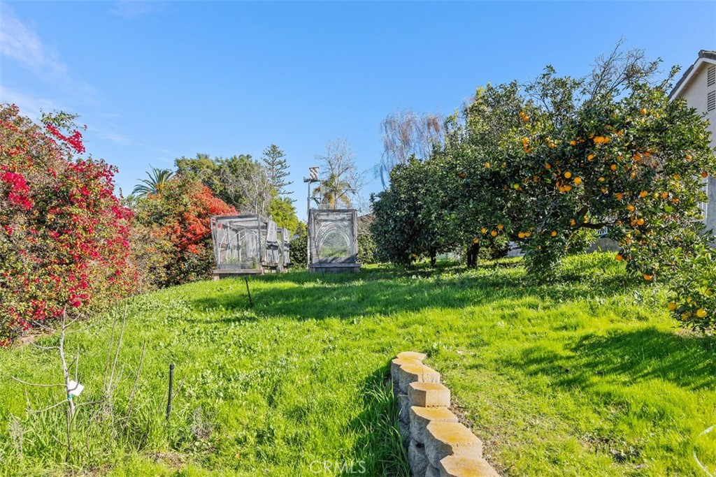 1765 Armadale Road Fallbrook, CA 92028 - Photo 39 of 45 a view of a garden with a building in the background