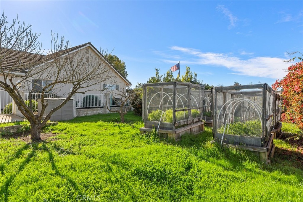 1765 Armadale Road Fallbrook, CA 92028 - Photo 40 of 45 a backyard of a house with lots of green space