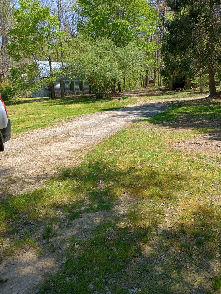 5796 Gumlog Road Young Harris, GA 30582 - Photo 4 of 9