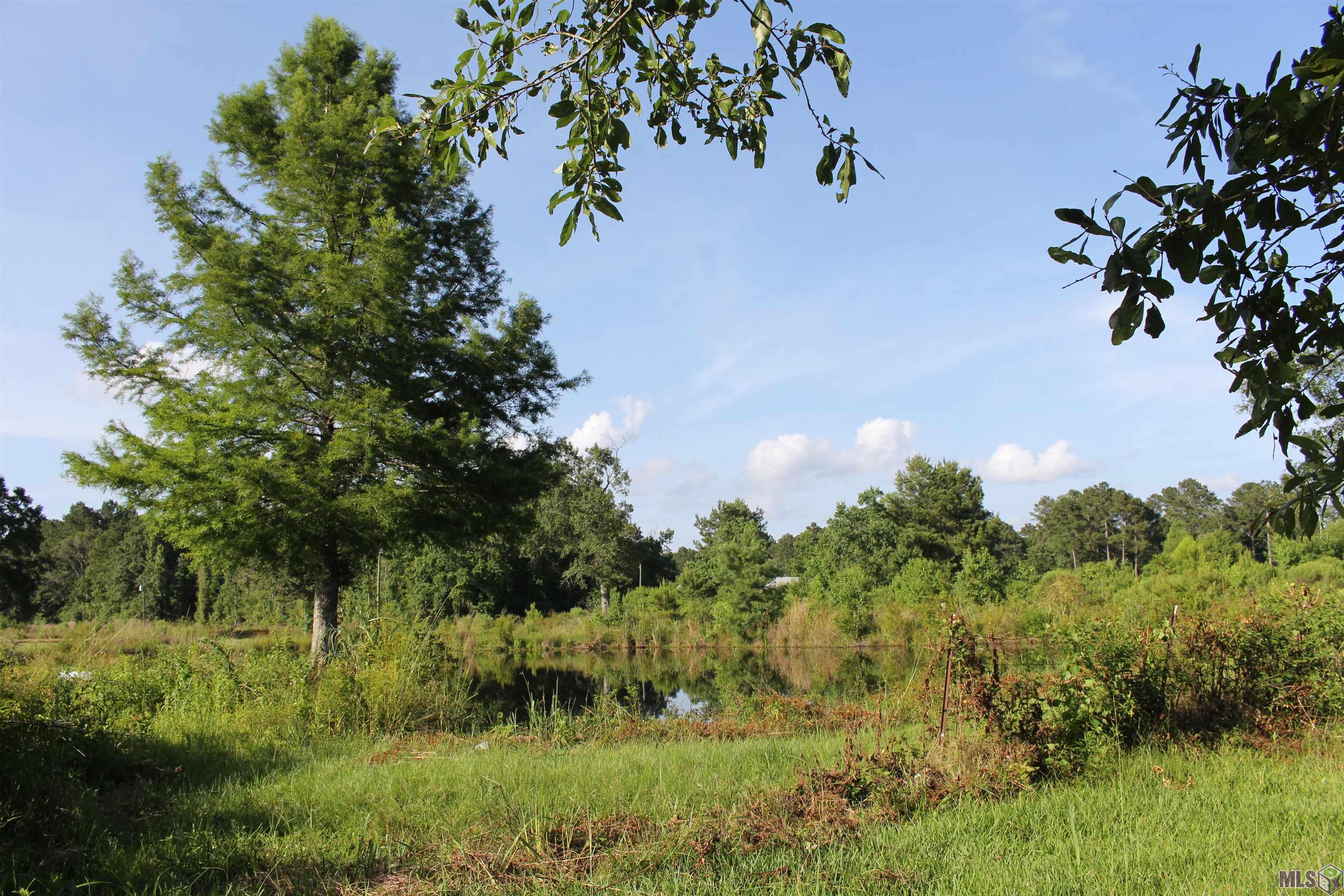 13505 Springfield Road Walker, LA 70785 - Photo 3 of 4