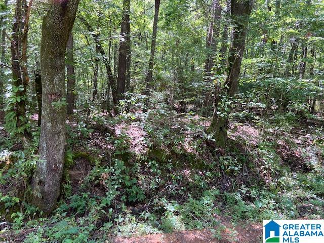 0 County Road 89, Unit 1 Clanton, AL 35046 - Photo 8 of 17