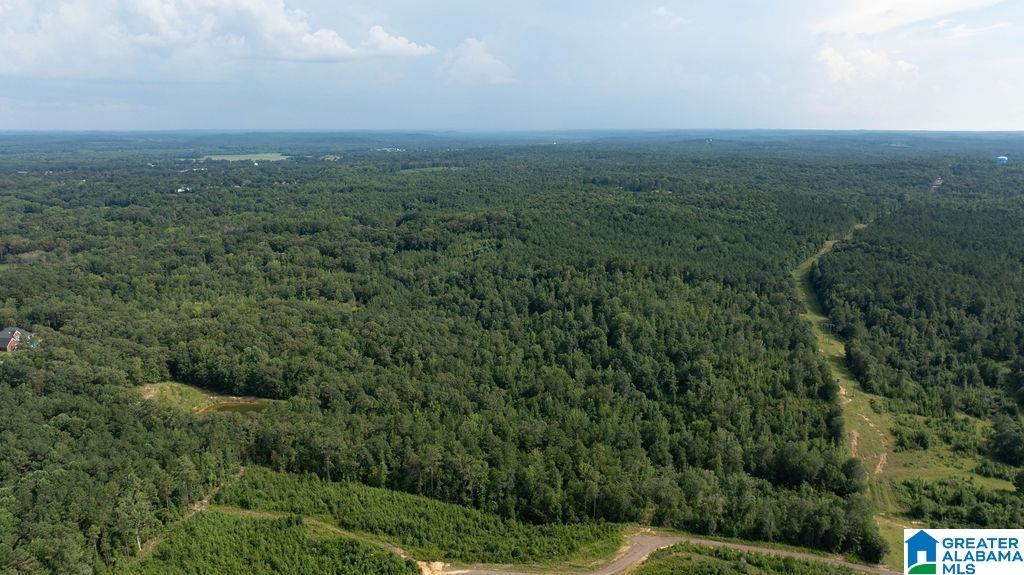 0 Wilkinson Road Fayette, AL 35555 - Photo 2 of 11