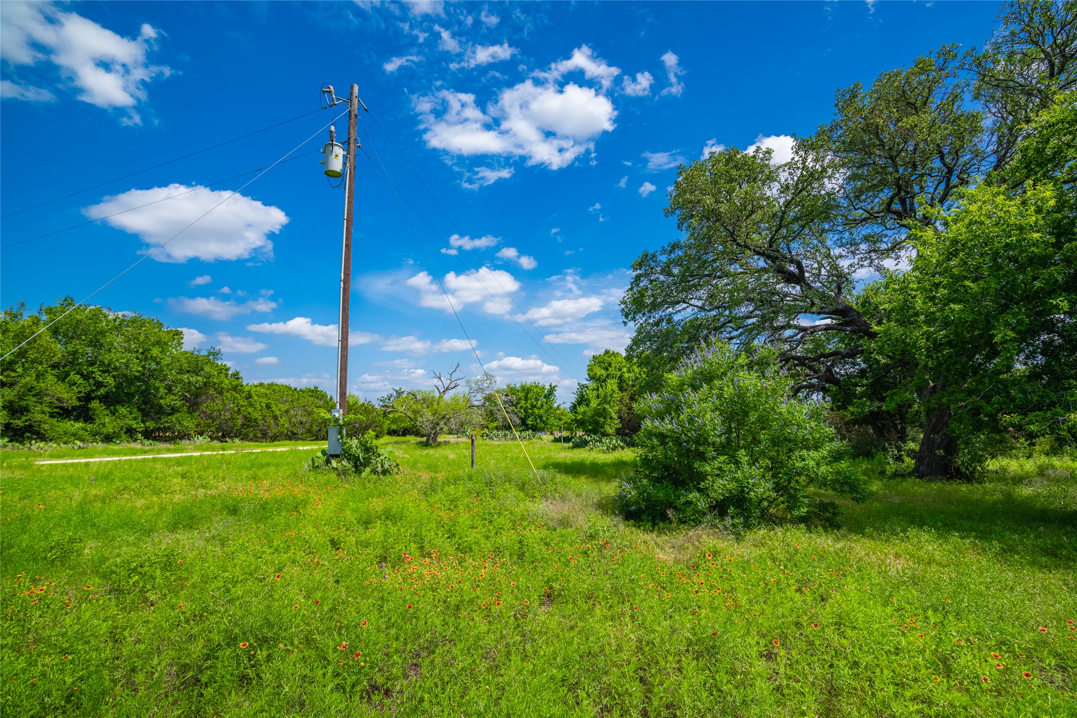 9750 Rm-243 Bertram, TX 78605 - Photo 15 of 18