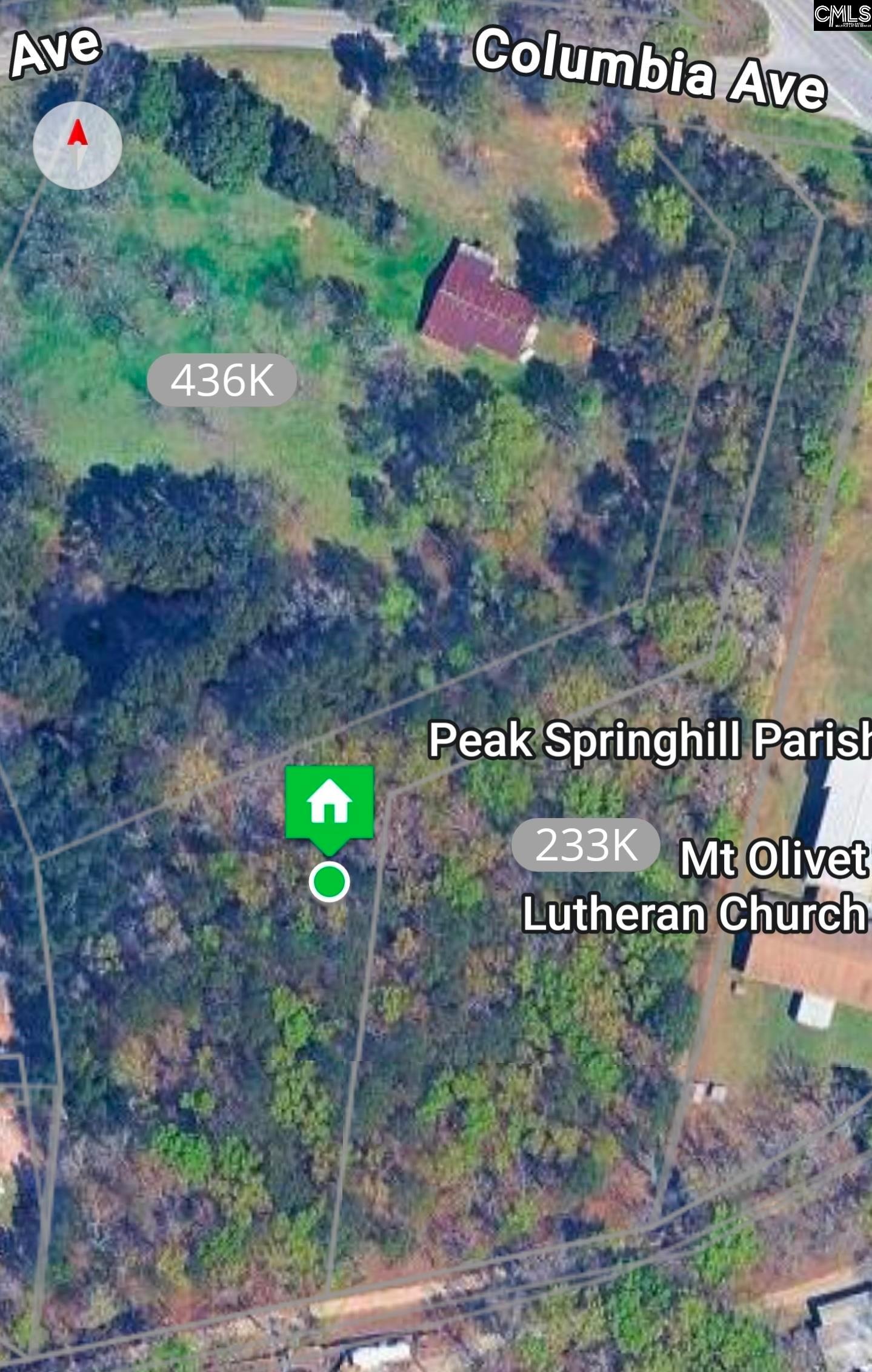 2458 Chapin Road Chapin, SC 29036 - Photo 4 of 10