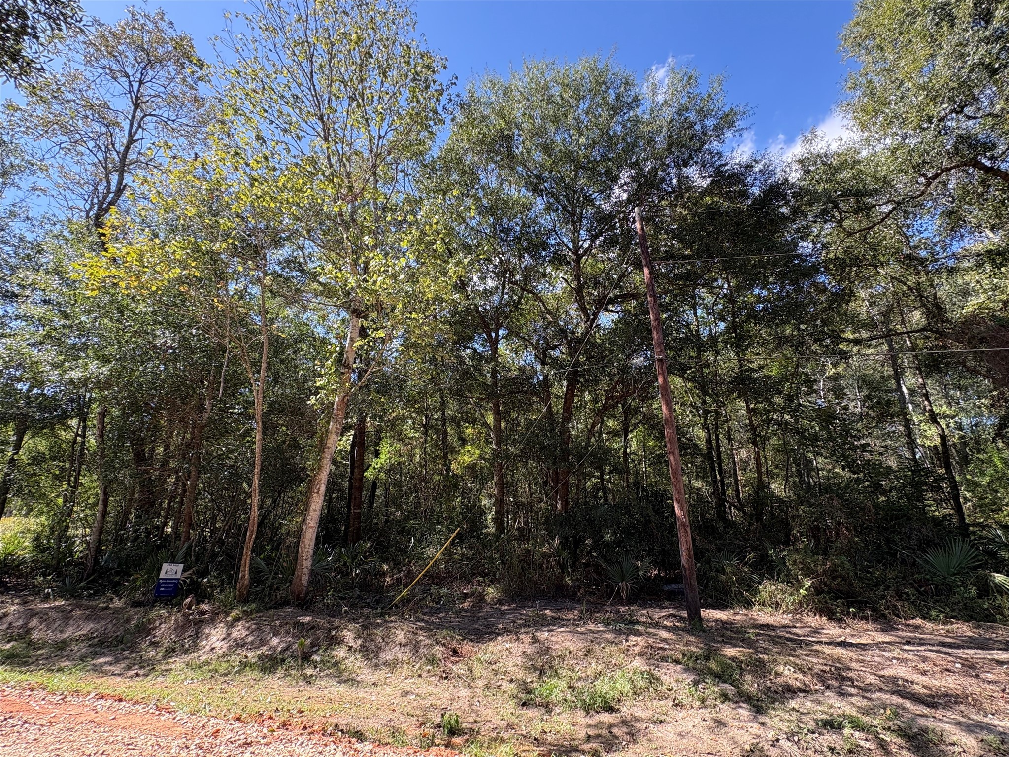 Lot 242 Mehringer Road Shepherd, TX 77371 - Photo 4 of 6 a view of outdoor space