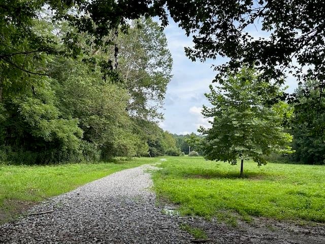0 Mt Tussell Road Knifley, KY 42753 - Photo 2 of 46 Gallery Image 2