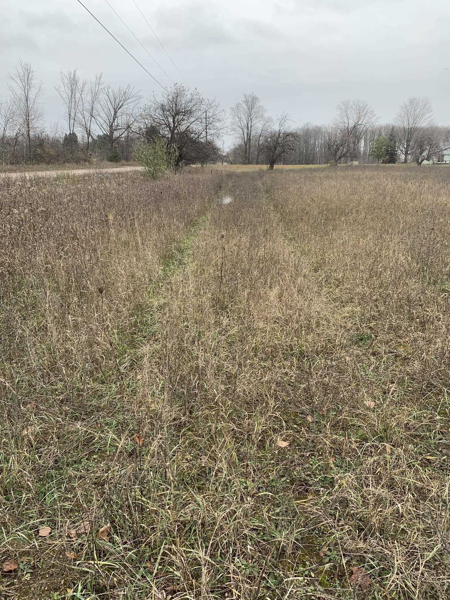 7443 Brady Road, Unit LOT: 3 Onaway, MI 49765 - Photo 15 of 17 Gallery Image 15
