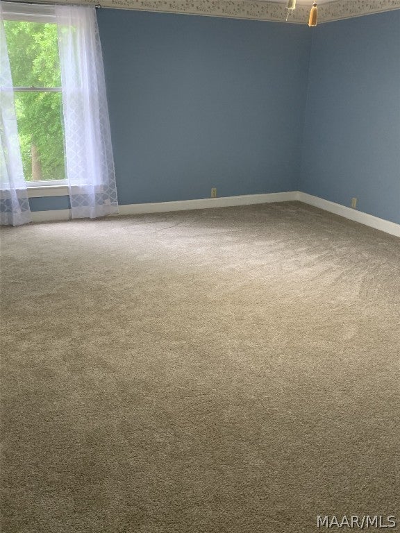 360 Reddoch Hill Road Elba, AL 36323 - Photo 25 of 37 Gallery Image 25