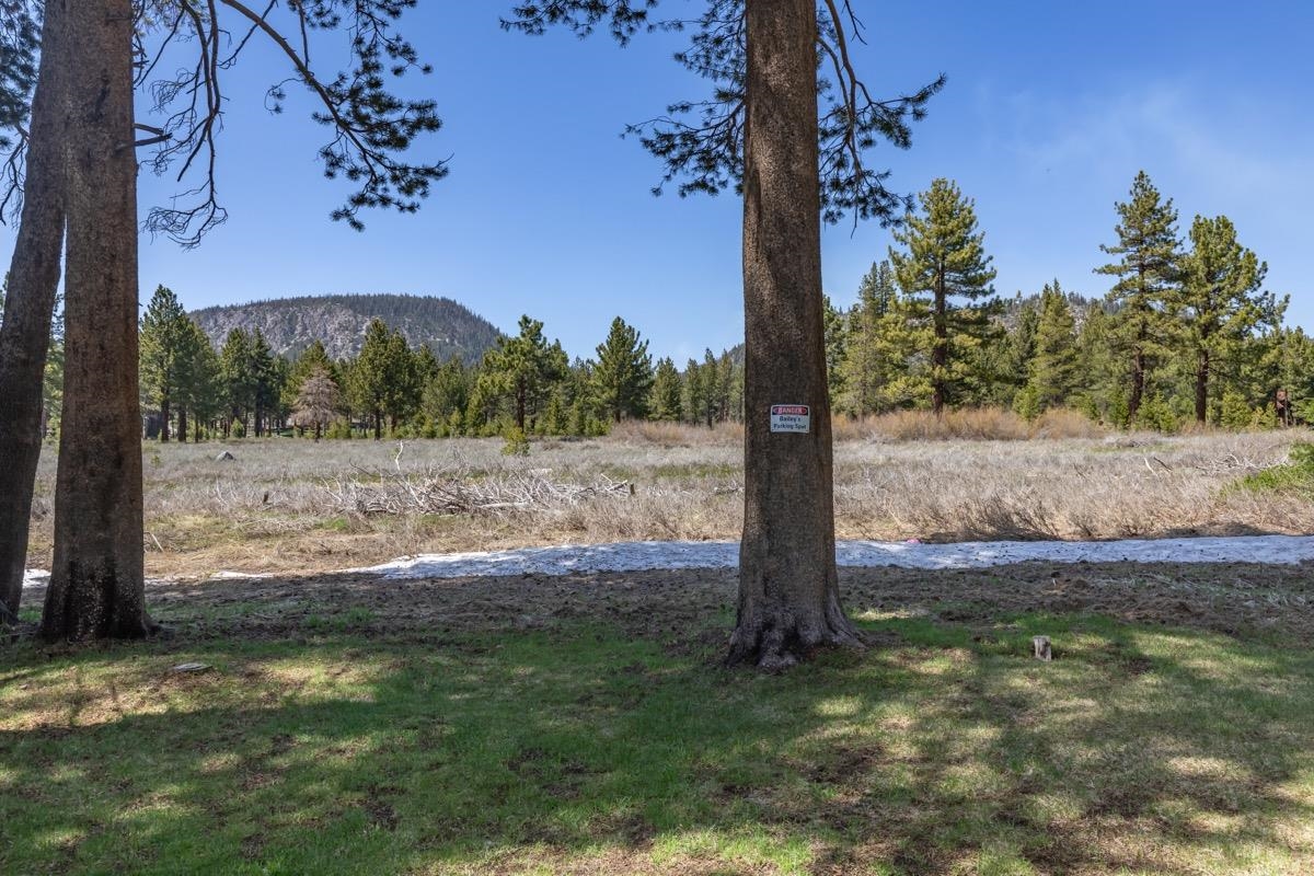 286 Ridge Way Mammoth Lakes, CA 93546 - Photo 3 of 50 Gallery Image 3
