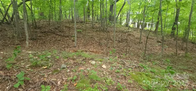 $45,000 | Lot 80 Serpentine Drive, Unit 80A, Columbus, NC 28722