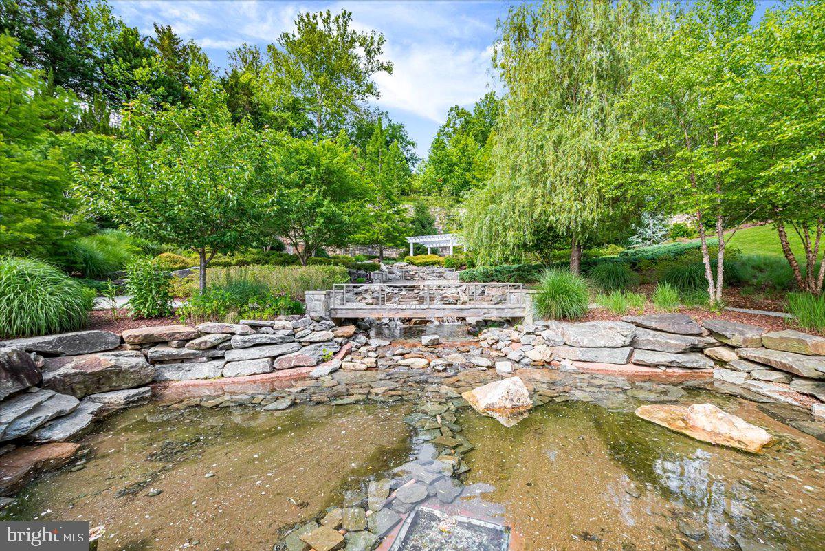 8111 River Road, Unit 131 Bethesda, MD 20817 - Photo 54 of 59 Stream adjacent to the waterfall