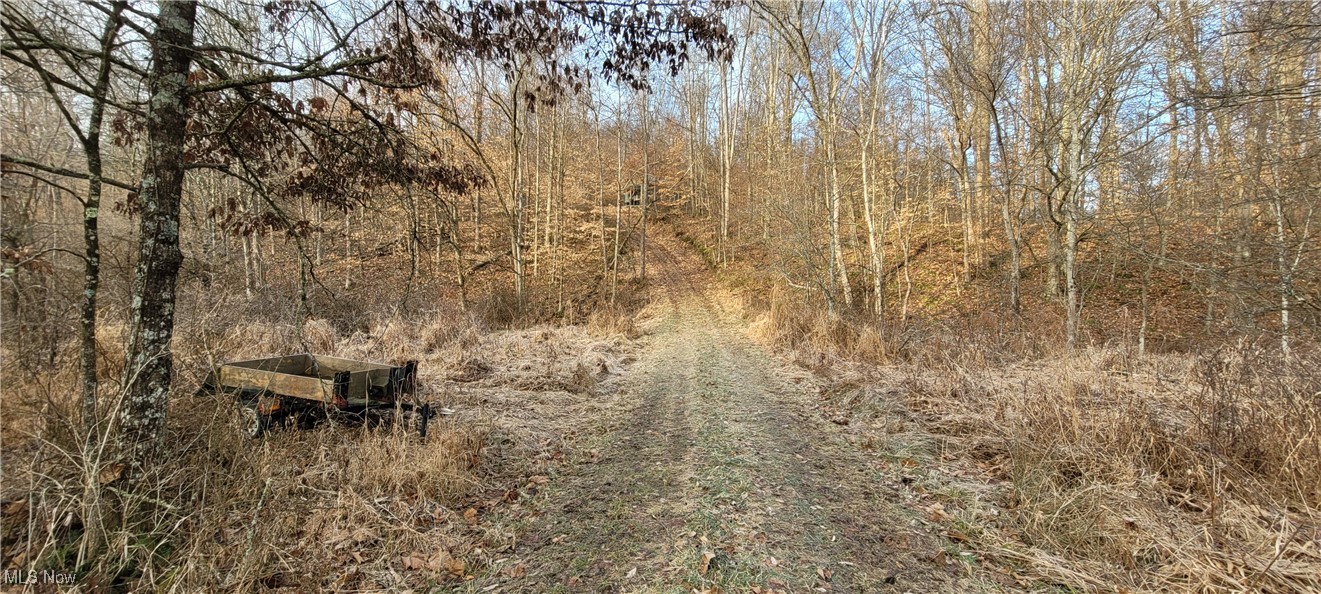 399 Township Road Coshocton, OH 43812 - Photo 4 of 50
