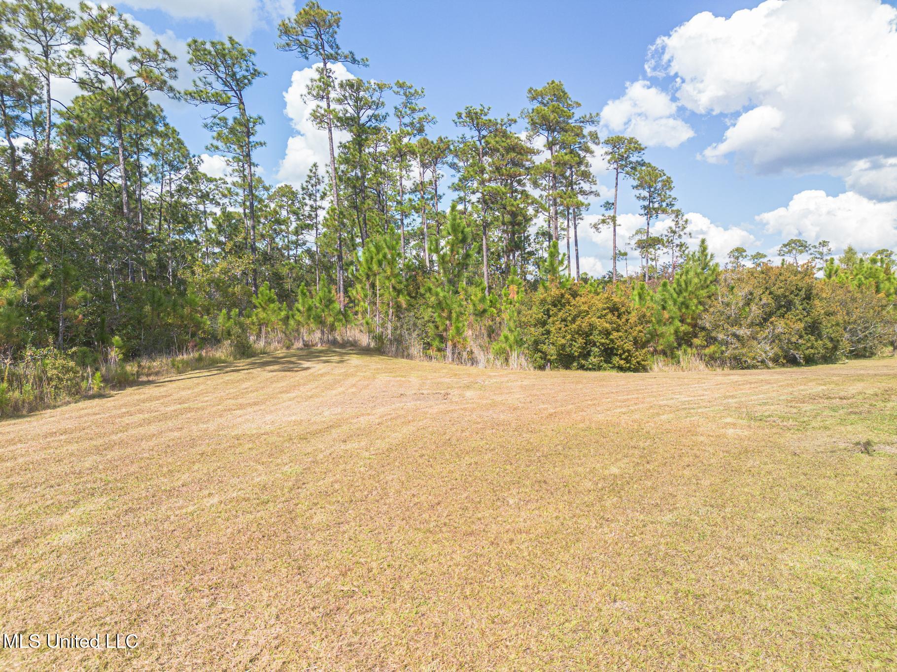 11816 Smokey Court Ocean Springs, MS 39564 - Photo 6 of 43 3-6