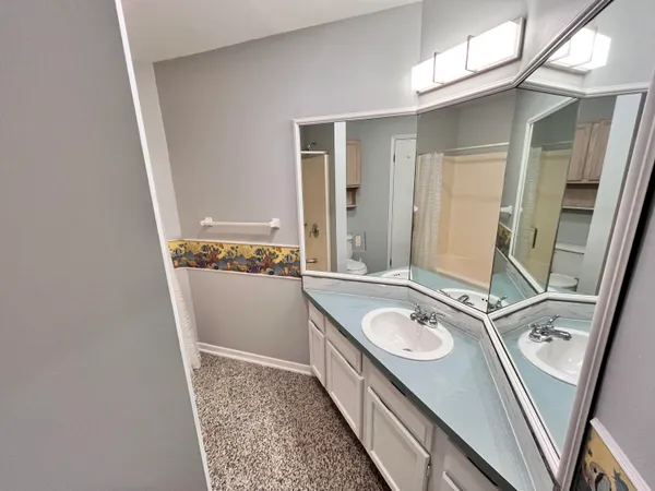 a bathroom with a sink a mirror and a shower