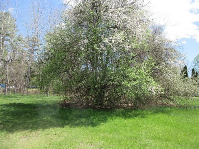 58 Fisherville Road Concord, NH 03303 - Photo 2 of 15