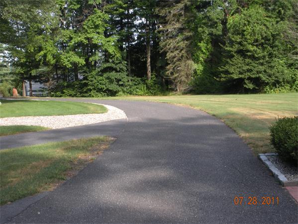 Lot 8 Florence Road Northampton, MA 01062 - Photo 13 of 30 a view of a yard with a trees