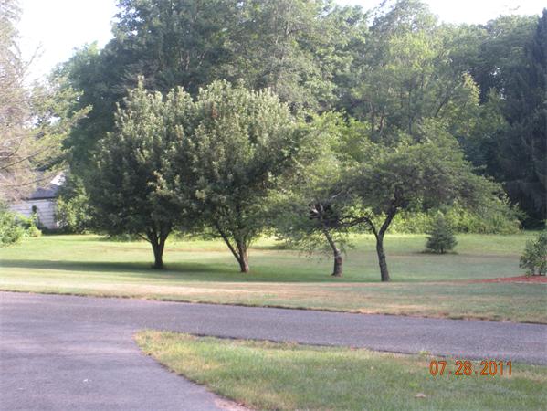 Lot 8 Florence Road Northampton, MA 01062 - Photo 14 of 30 a view of outdoor space with city view