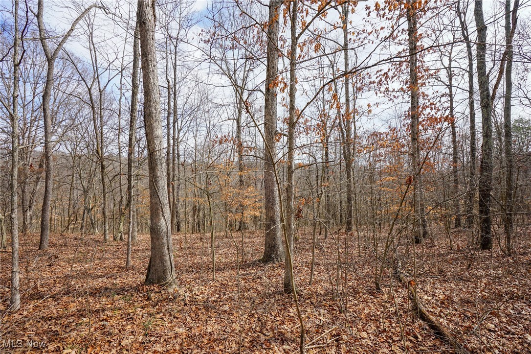 Jackson Fork Road South Webster, OH 45682 - Photo 27 of 37 View of landscape featuring a forest view
