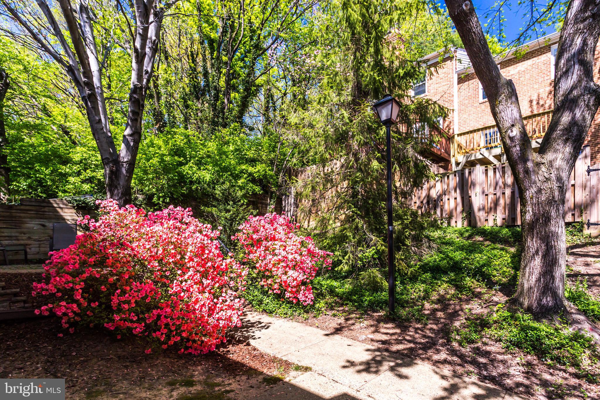 2043 South Glebe Road Arlington, VA 22206 - Photo 64 of 72 Gallery Image 64