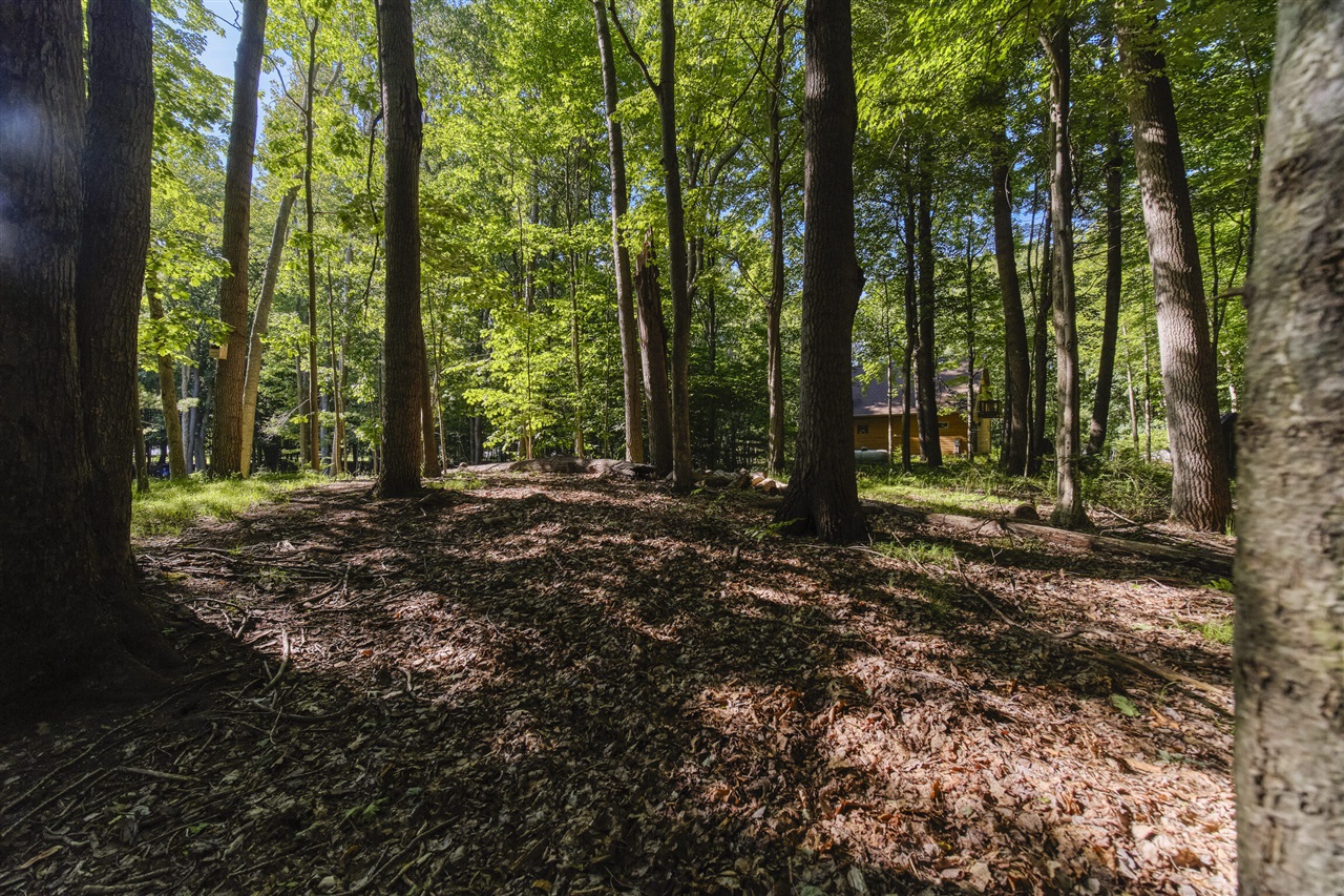 10826 Old Freesoil Road Manistee, MI 49660 - Photo 44 of 58