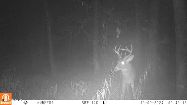 $555,000 | 4885 Ennis Road, Starkville, MS 39759