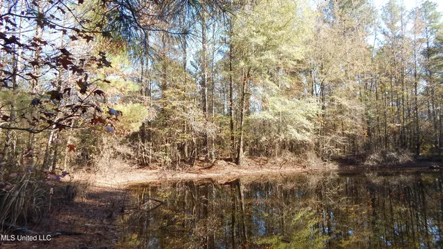 $555,000 | 4885 Ennis Road, Starkville, MS 39759