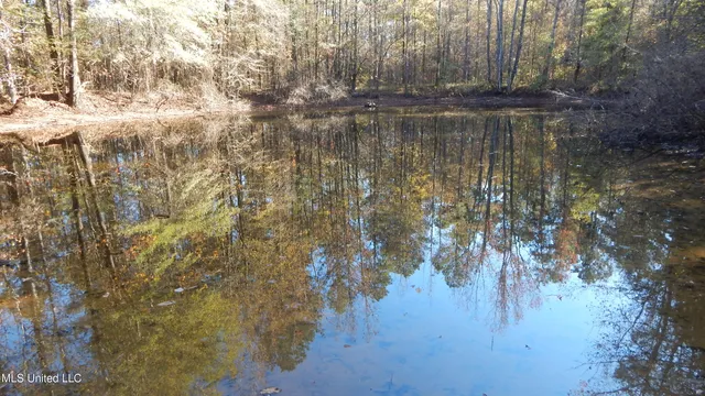 $555,000 | 4885 Ennis Road, Starkville, MS 39759