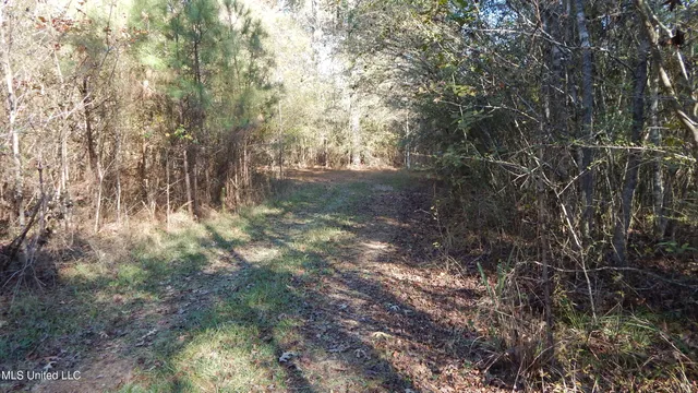 $555,000 | 4885 Ennis Road, Starkville, MS 39759