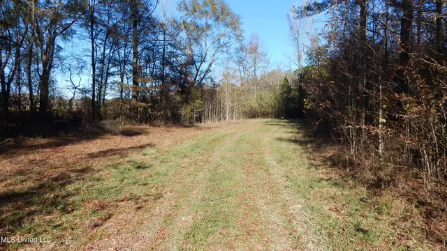 $555,000 | 4885 Ennis Road, Starkville, MS 39759