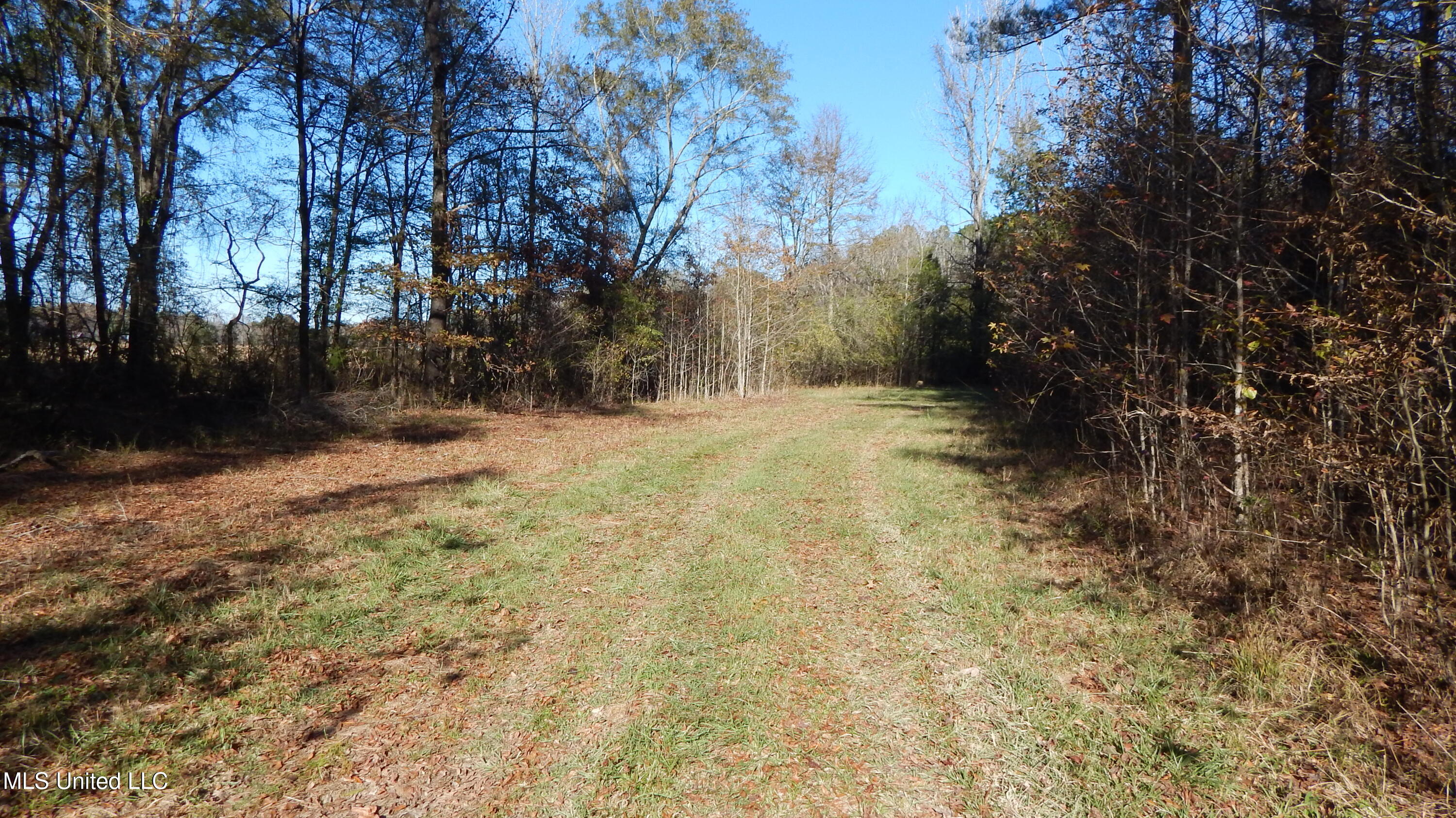 4885 Ennis Road Starkville, MS 39759 - Photo 19 of 52 DSCN6321