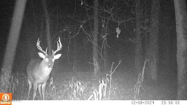 $555,000 | 4885 Ennis Road, Starkville, MS 39759