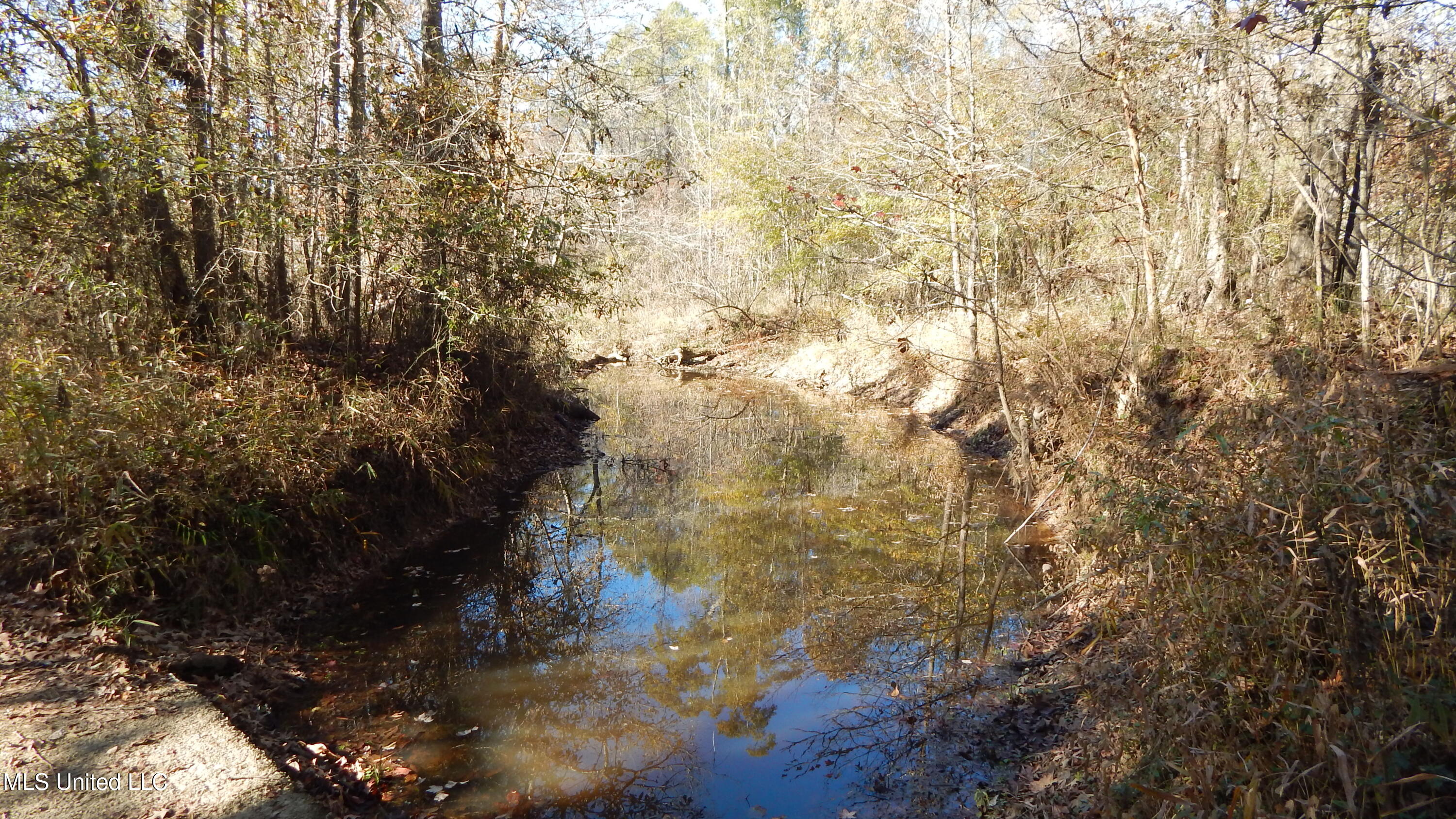 4885 Ennis Road Starkville, MS 39759 - Photo 23 of 52 Creek