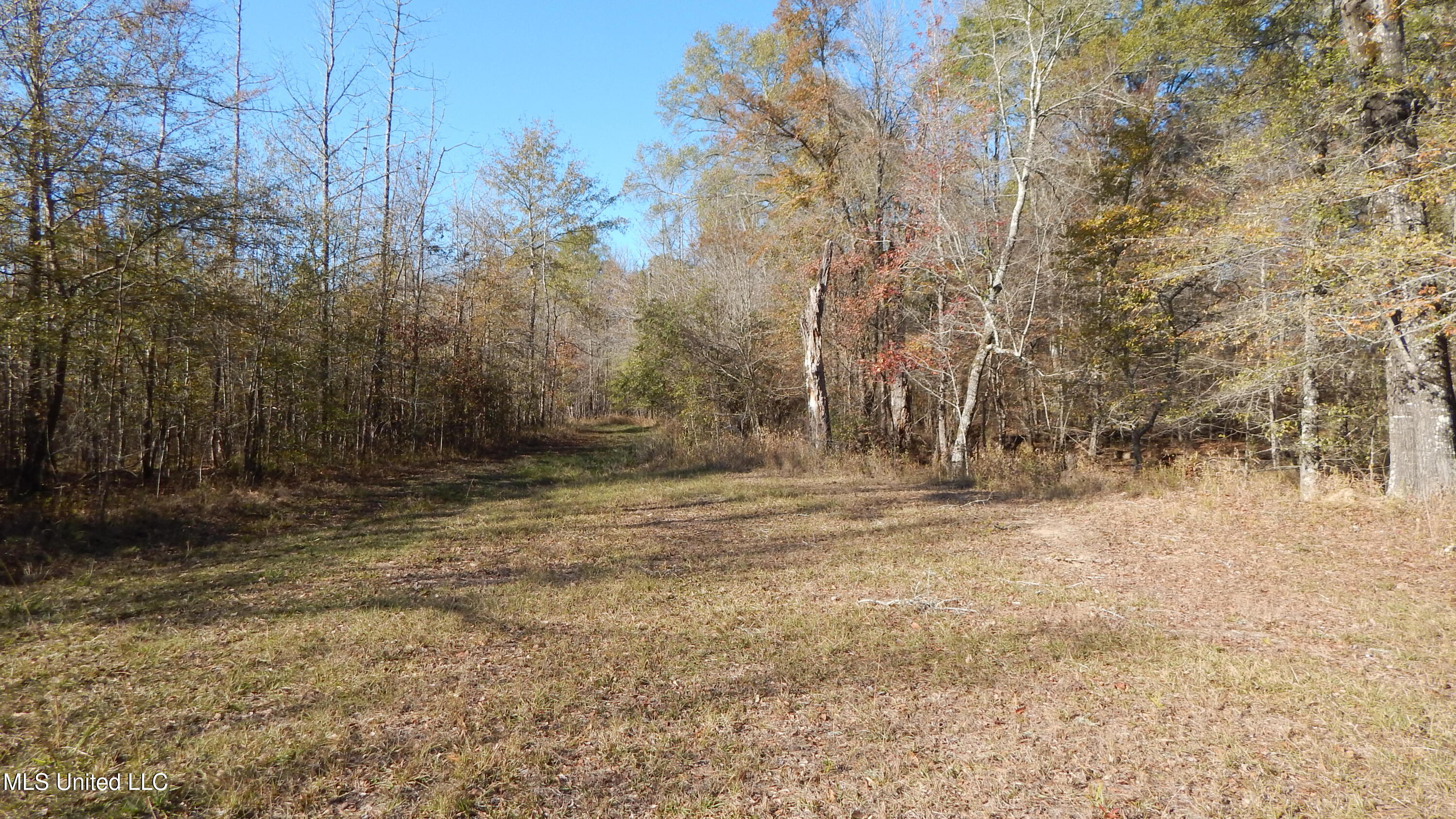 4885 Ennis Road Starkville, MS 39759 - Photo 24 of 52 DSCN6327