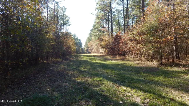 $555,000 | 4885 Ennis Road, Starkville, MS 39759