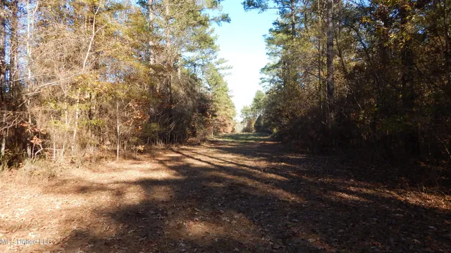 $555,000 | 4885 Ennis Road, Starkville, MS 39759