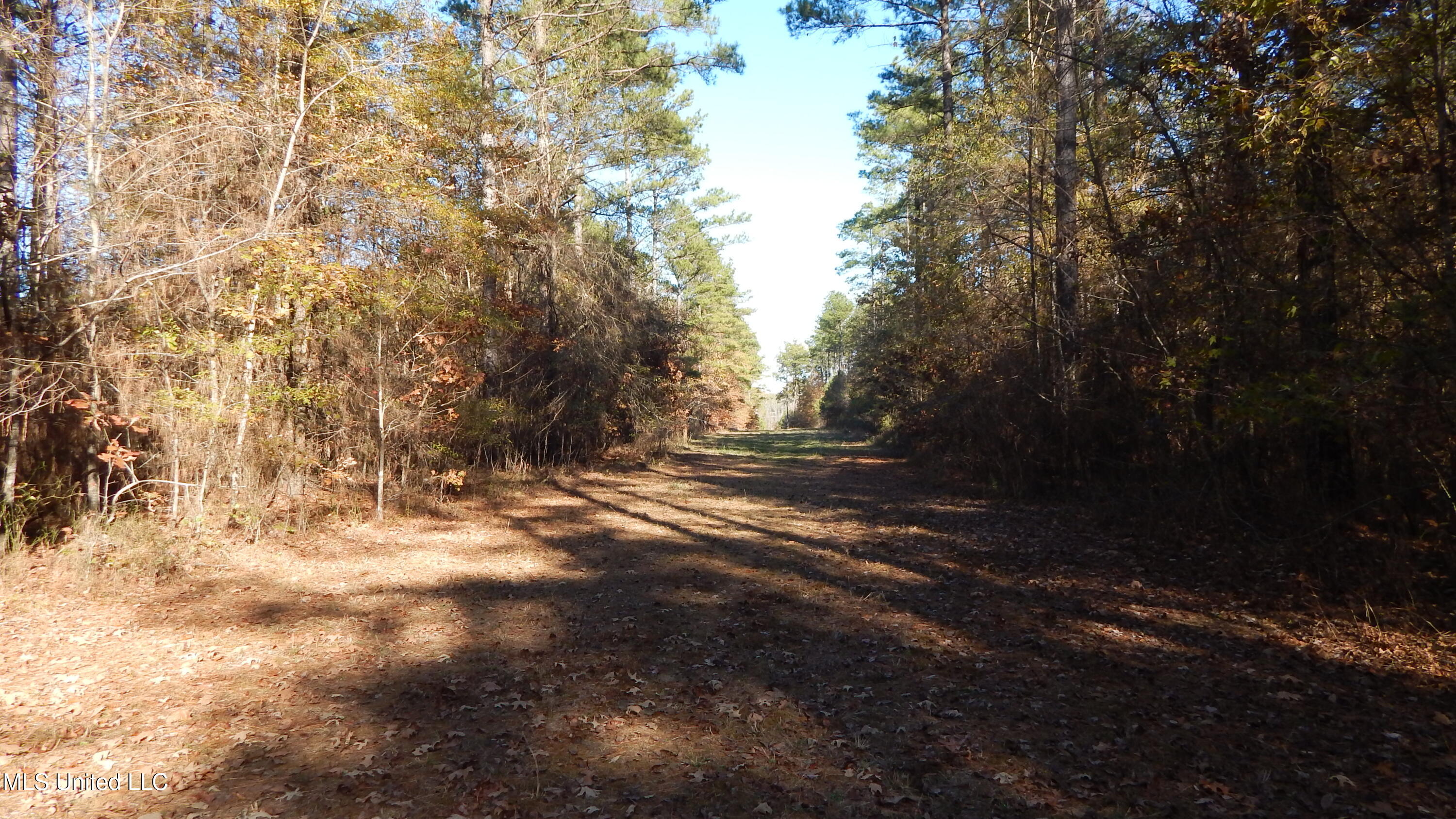 4885 Ennis Road Starkville, MS 39759 - Photo 26 of 52 DSCN6329
