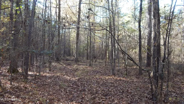 $555,000 | 4885 Ennis Road, Starkville, MS 39759