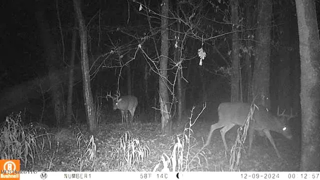 $555,000 | 4885 Ennis Road, Starkville, MS 39759