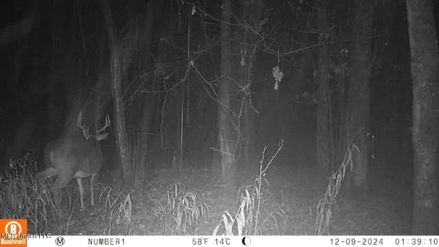 $555,000 | 4885 Ennis Road, Starkville, MS 39759